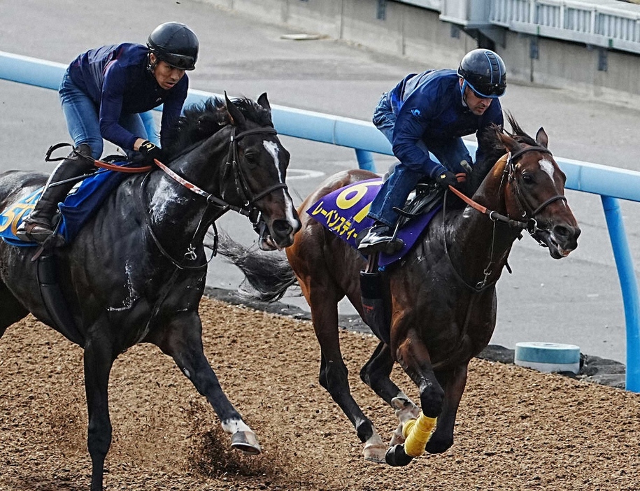 ウッドチップコース、併せ馬で追い切るレーベンスティール（右）（撮影・郡司修）