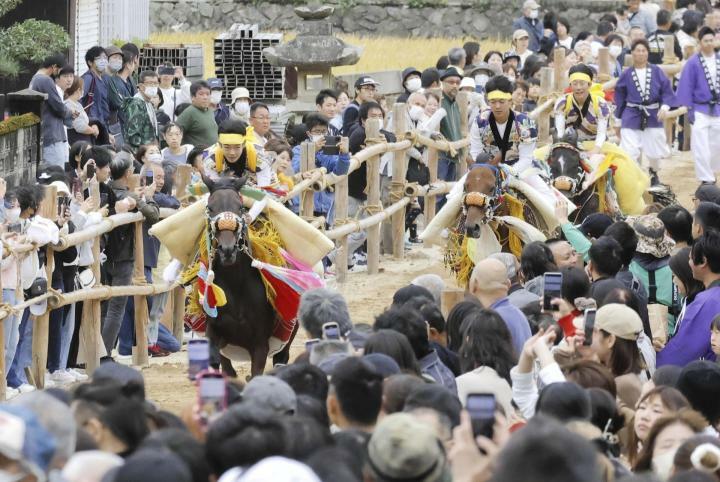 人馬一体の走りで見物客を沸かせた「お供馬の走り込み」＝20日午前、今治市菊間町浜