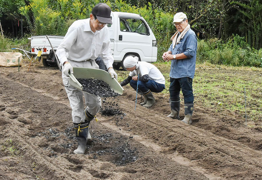 源助かぶ菜を4種類の方法で栽培する