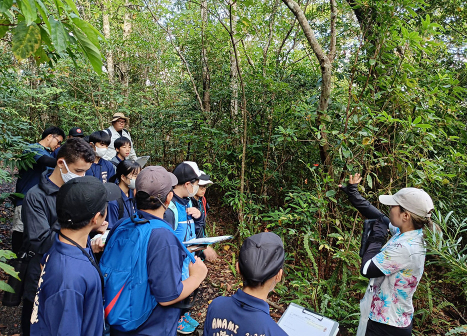 「子ども世界自然遺産講座」で鹿児島県・奄美大島の金作原を観察する子どもたち＝12日（奄美大島自然保護協議会提供）