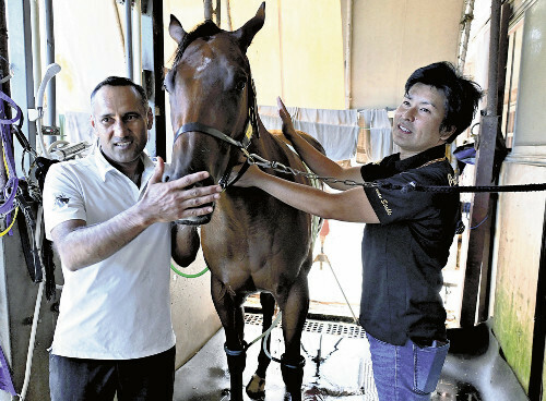 厩務員として競走馬を世話するインダさん（左）と調教師の長南さん（兵庫県西脇市の県立西脇馬事公苑で）