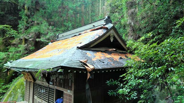 屋根の銅板が盗まれた厳島神社=栃木県足利市提供