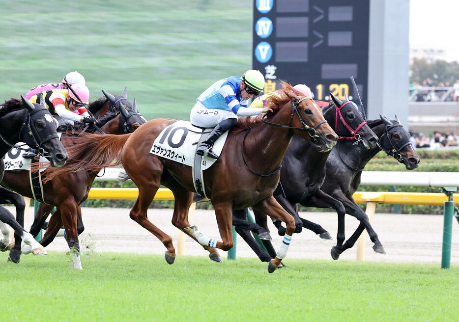 東京6Rを制したエヴァンスウィート（手前）とC・デムーロ騎手（撮影・鈴木正人）