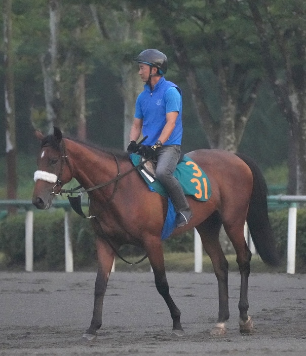 初陣Vを目指すアロンズロッド