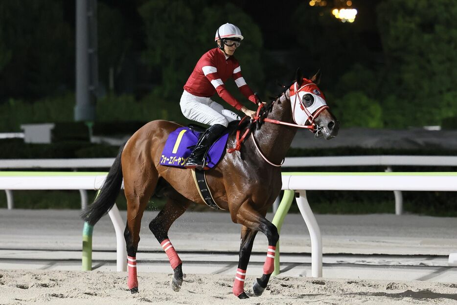 JDC・フォーエバーヤングと坂井瑠星騎手 (C)Hiroki Homma