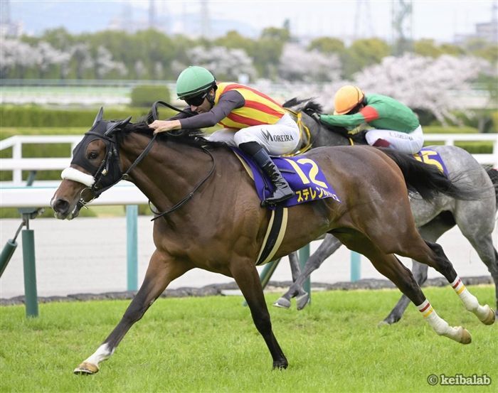 今年の桜花賞を勝ったステレンボッシュ