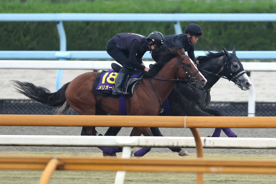 芝コースを併せ馬で追い切るメリオーレム（左）とアドマイヤテラ