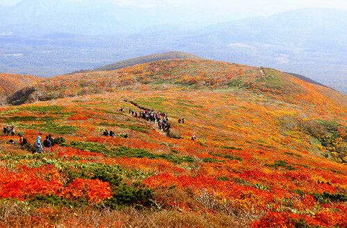 見頃を迎えた栗駒山の紅葉（宮城県栗原市で）＝永井秀典撮影