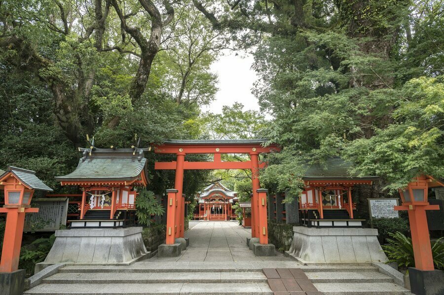 境内に入る鳥居の右手に立つクスの木は樹齢800年。木の中間に桜が生え春に花をつけるという