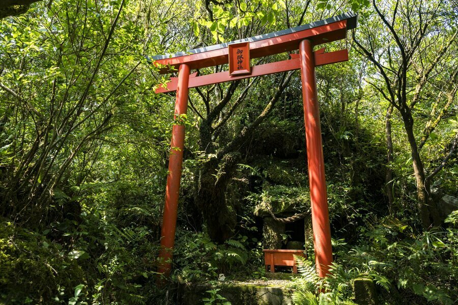 枚聞神社奥宮の御嶽神社は、開聞岳山頂の少し手前の森にひっそりと祀られている