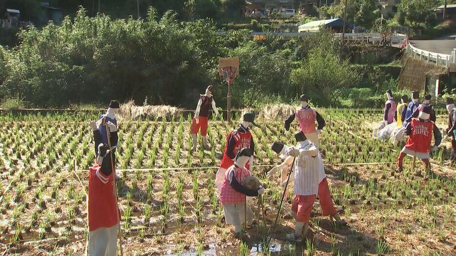 大分県佐伯市本匠