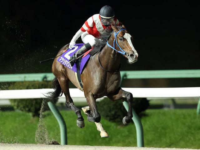 若駒賞を制したマツリダマスラオ(提供：岩手県競馬組合)