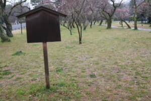 京都御苑の西端に位置する枇杷殿跡（京都府京都市）。代々、藤原氏の邸宅があった場所で、藤原道長は娘・妍子のために屋敷を整備。後に三条天皇の御所となった。妍子が枇杷皇太后とも呼ばれるのは、この地が由縁である。