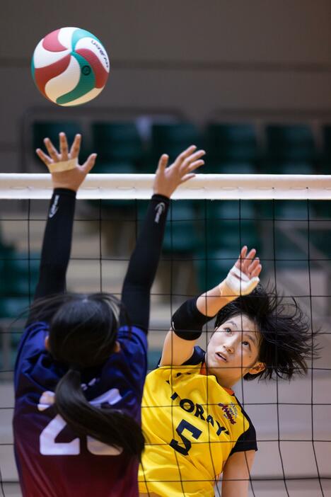 2日間にわたり熱戦が繰り広げられた。写真は東レアローズ滋賀U15