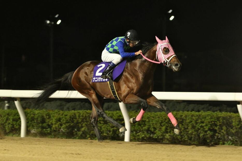 ナニハサテオキ、森泰斗＝浦和競馬場（撮影・大貫師男）