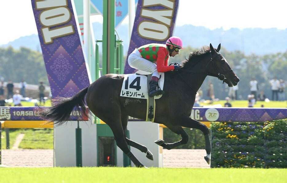 デビュー戦を快勝したレモンバーム＝東京競馬場（撮影・奈良武）