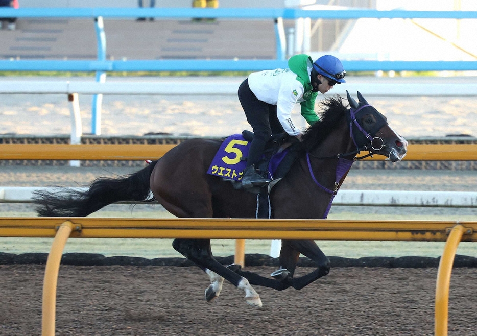 西村淳也を背にCウッドを単走で追い切るウエストナウ