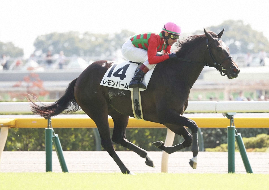 ＜東京4R＞新馬戦を制したレモンバーム　（撮影・村上　大輔）