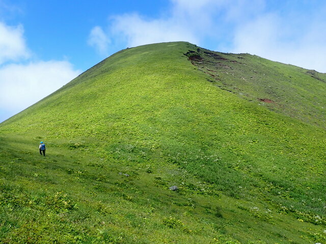 渡島大島江良岳西方の鞍部から清部岳への尾根筋。なだらかな草原斜面が続く　photo by Fukashi Maeno