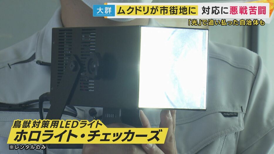 鳥獣対策用のLEDライト