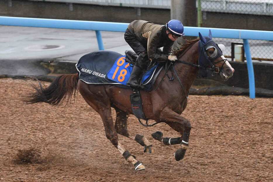 オメガギネスはきっちり先着