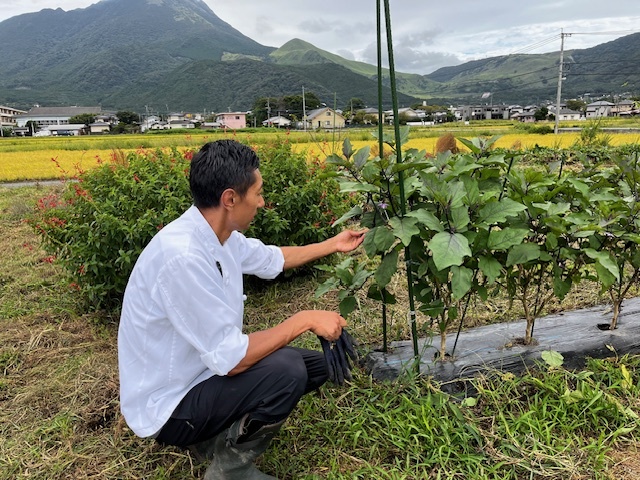 野菜をひとつずつ見て、触って、スタッフと相談しながら、その日のメニューを決めるそう