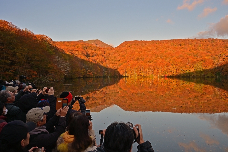 朝日に染まる木々の紅葉が、なぎの水面に映る蔦沼＝25日午前6時25分ごろ、十和田市