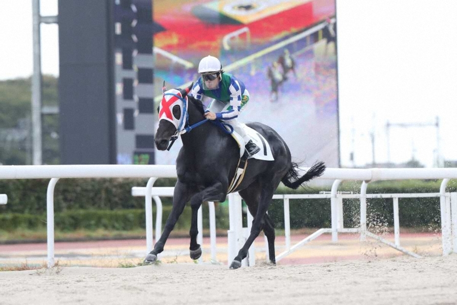 パイロズブリッジで勝ち、年間最多勝となる184勝目をマークした渡辺竜也騎手（笠松競馬提供）