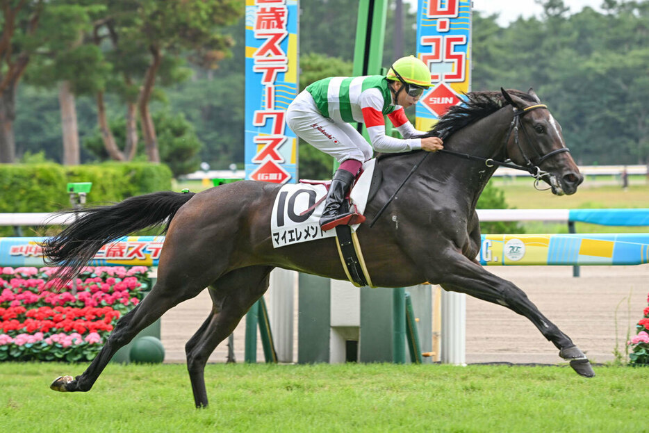 新馬戦を勝ち上がったマイエレメント