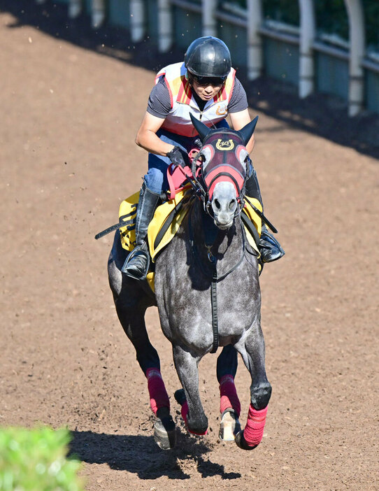 コスタボニータは休み明けでも躍動感十分