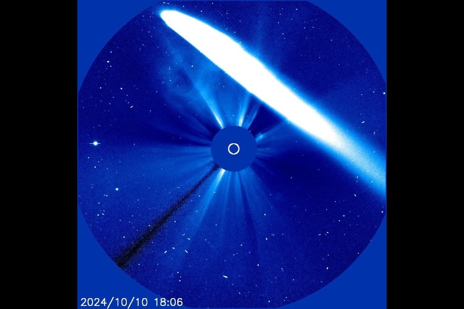 米航空宇宙局（NASA）と欧州宇宙機関（ESA）が共同運用する太陽観測衛星「SOHO」の広角分光コロナグラフ（LASCO/C3）が捉えた「紫金山・アトラス彗星（C/2023 A3）」の姿（NASA/ESA）