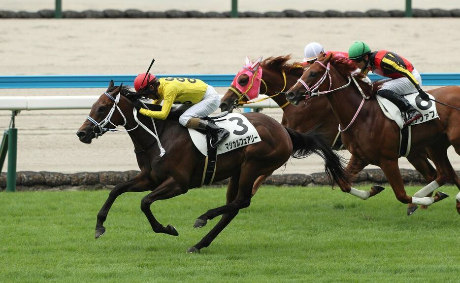 マジカルフェアリー　＝小倉競馬場（撮影・村本聡）