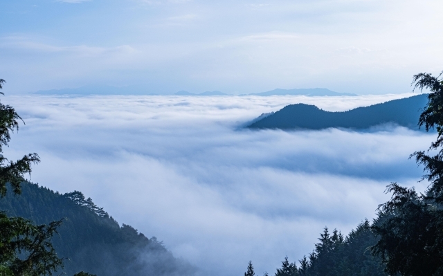 眼下に広がる雲海=24日、野迫川村