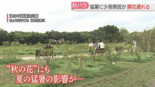 海の中道海浜公園