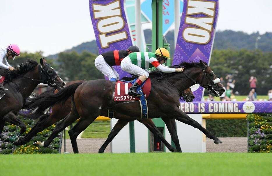 毎日王冠を制し重賞2勝目を挙げたシックスペンス＝6日、東京競馬場（撮影・奈良武）