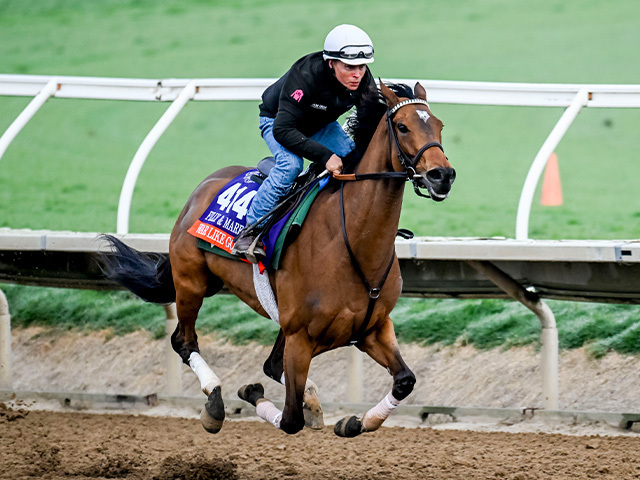 現地で調整するウォーライクゴッデス Eclipse Sportswire / Breeders' Cup Photos(c)