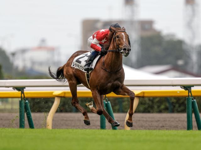 北村宏司騎手騎乗の1番人気レッドキングリーが勝利(撮影：下野雄規)