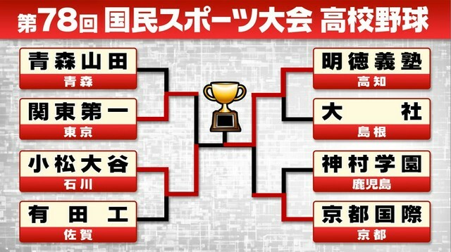 国民スポーツ大会 高校野球の結果