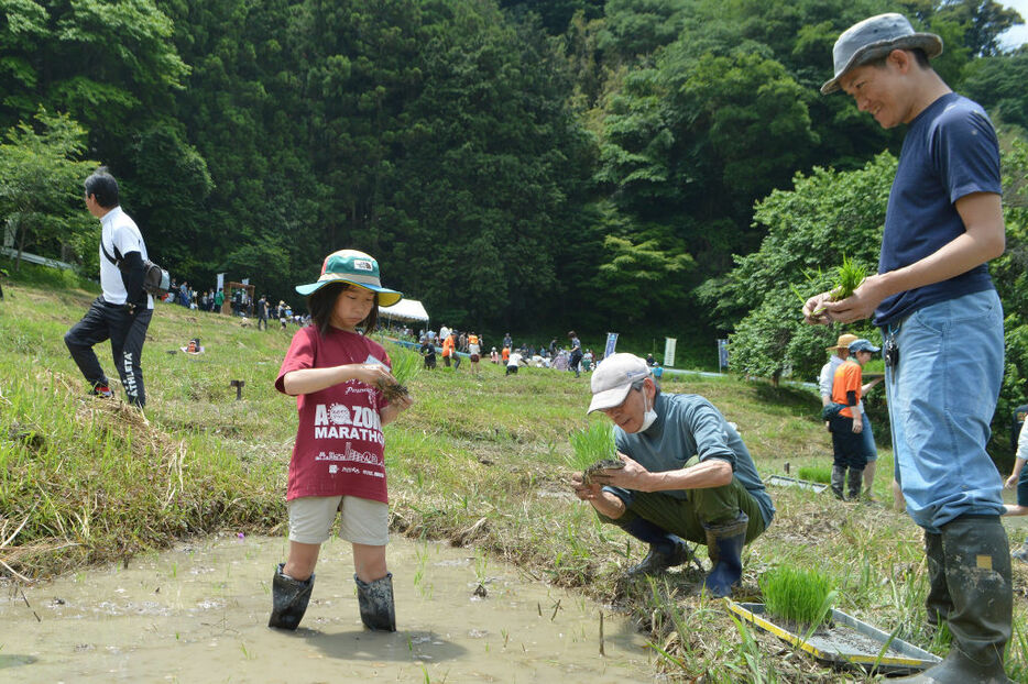 5月下旬、田植えに挑戦するオーナー。年間を通じてさまざまなイベントに参加できる＝菊川市の千框棚田