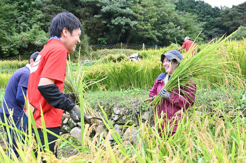 稲刈りを楽しむ小林亮さん（左）と万浦さん。棚田を通じて、他の参加者や地域住民との交流が生まれる＝10月初旬、松崎町石部の棚田