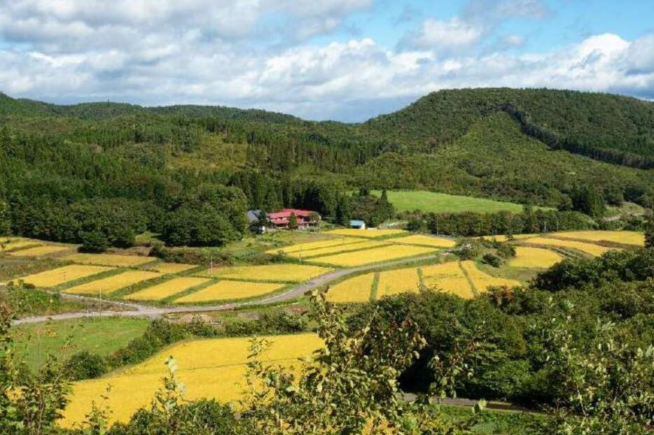 日本の里地里山で生態系が乱れている