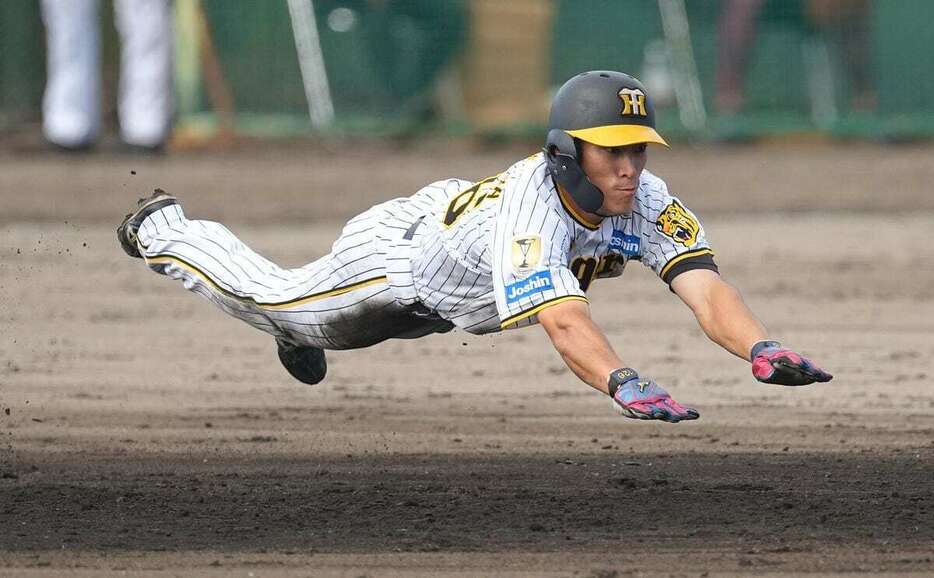 七回にヘッドスライディングで二盗を決めたルーキーの福島。藤川新監督にアピールした