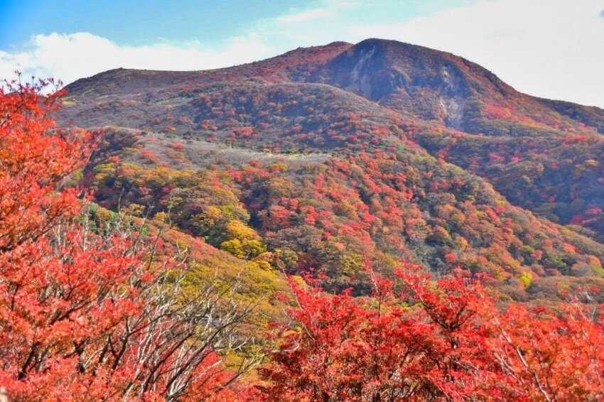 大分・沓掛山(くつかけやま)