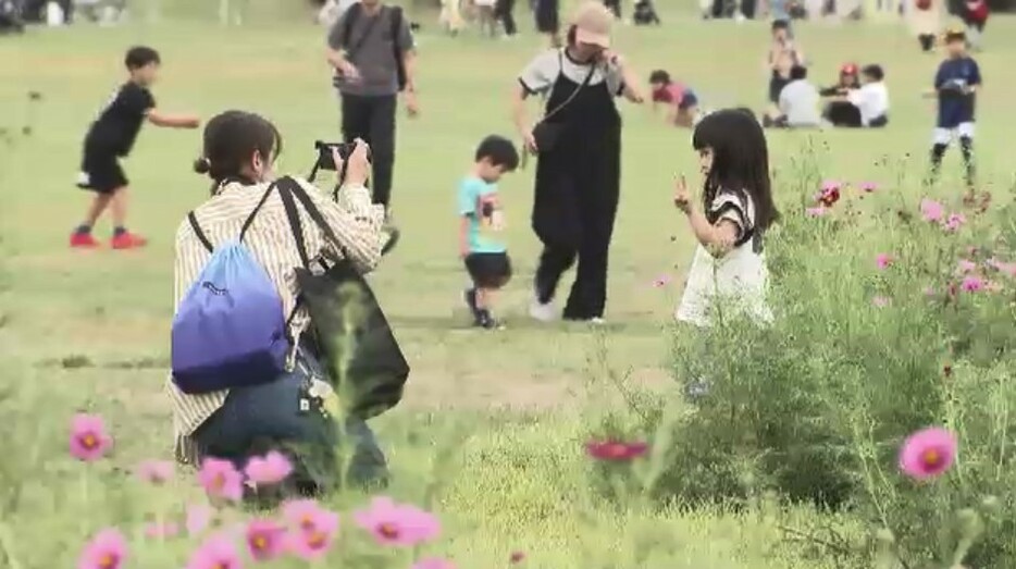 海の中道海浜公園（14日、福岡市東区）