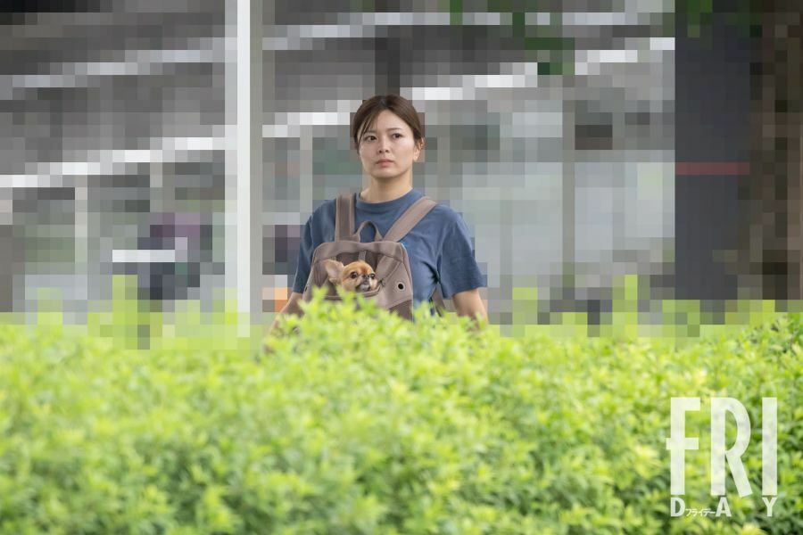 愛犬と共に駅へと歩く瀬戸