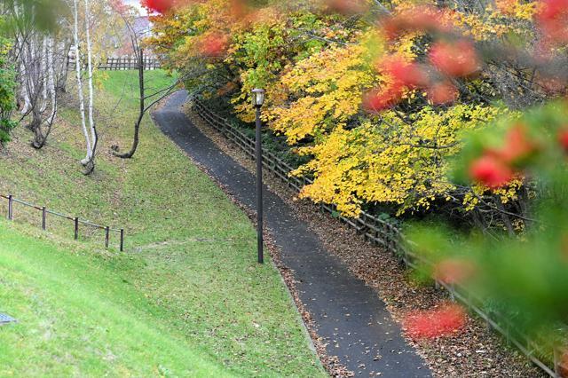 男性の遺体は中央の電灯の手前の遊歩道で発見されたという=2024年10月27日午後3時7分、北海道江別市文京台南町、鈴木優香撮影