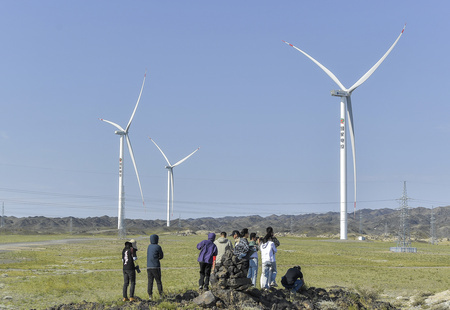 新疆ウイグル自治区にある風力発電所（2024年8月29日撮影、資料写真）。