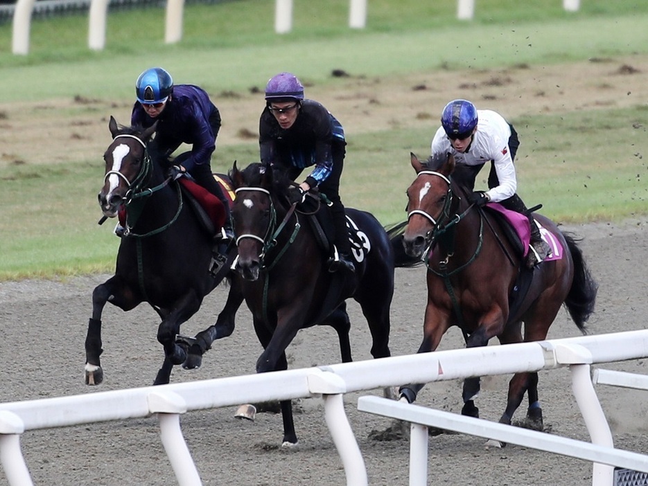 良馬場が見込まれる今回は能力をすべて開放できそうなランスオブクイーン(左)