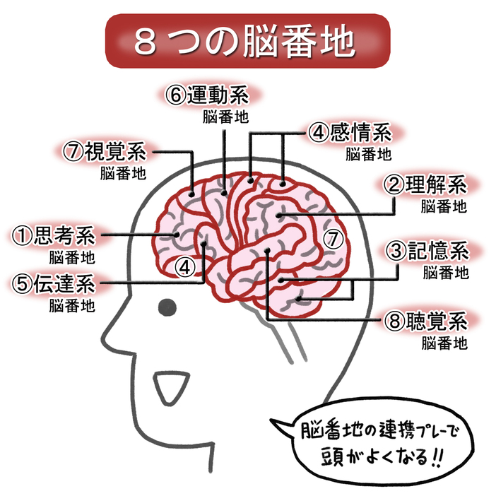 加藤俊徳先生が考案した8つの脳番地