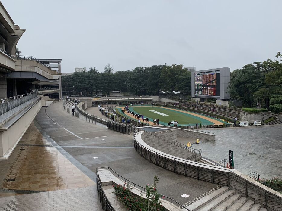 東京競馬場